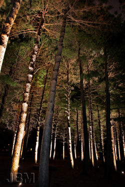 Gardens of Light - Japanese Garden � Jardin botanique de Montr�al (Michel Tremblay)
