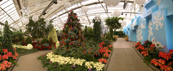 Montreal Christmas Garden