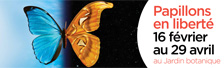 Papillons en libert�