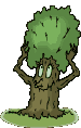 Learn about trees and shrubs in the J@rdin des jeunes branch�s
