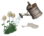 arrosoir