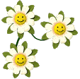 Marguerites sourire