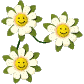 Fleurs sourires