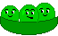 Graines de haricot
