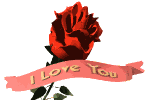 Rose rouge