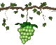 Raisins