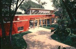The Tree House