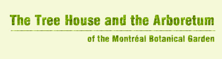 The Tree House and the Arboretum of the Montreal Botanical Garden