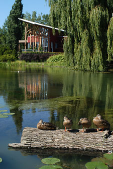 The Marsh