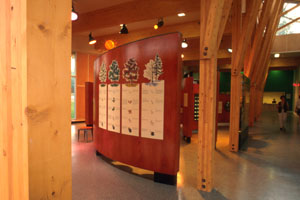 Inside the Tree House