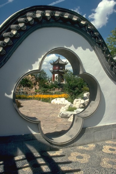 The door with apricot flower motif