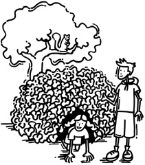 Arboricoles