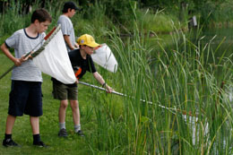 Les Coureurs d'insectes � Michel Tremblay