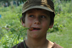 Jardins-jeunes