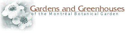 Gardens and Greeenhouses