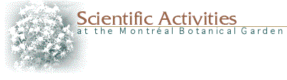 Scientific Activities