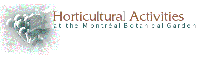 Horticultural Activities