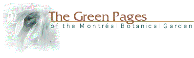 Green Pages