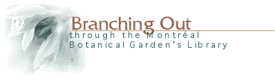 Branching Out