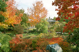 Couleurs d'automne
