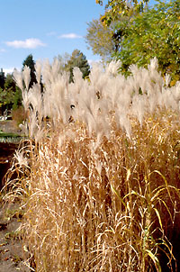 Couleurs d'automne