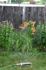 Water, paying attention to requirements and restrictions ; photo Michel Tremblay