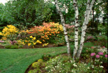 Jardin Leslie-Hancock