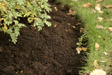 Soil Texture