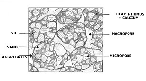 Structure grumeleuse