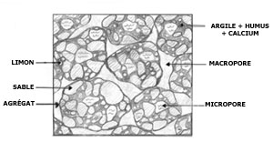 Structure grumeleuse