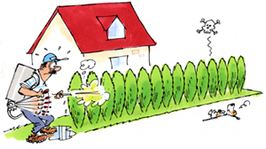 NON aux pesticides...
