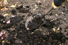 Amendez le sol avec du compost - Photo de Michel Tremblay
