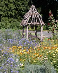 Jardin des plantes �conomiques, JBM � Lise Servant