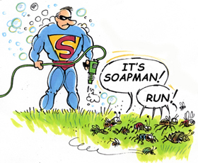 It's Soapman !