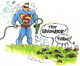 c'est savonator !!!