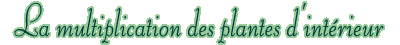 La multiplication