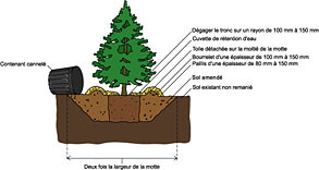 Cliquez pour agrandir l'image