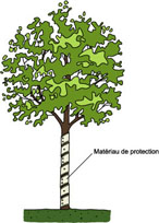 Cliquez pour agrandir l'image