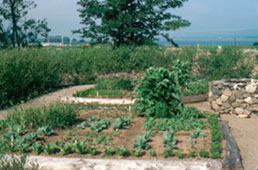 Potager du jardin historique d'Annapolis