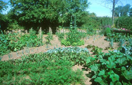 Potager de la Famille De Bellefeuille - Beausoleil
