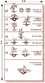 Plan d'un potager