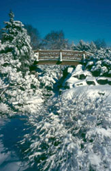Sc�ne hivernale