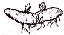 Rhizome