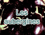 Les aubergines
