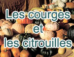 Les courges et les citrouilles