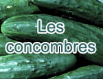 Les concombres
