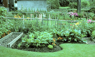 Jardin