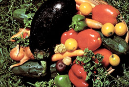L�gumes vari�s