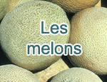 Les melons