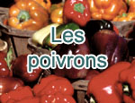 Les poivrons